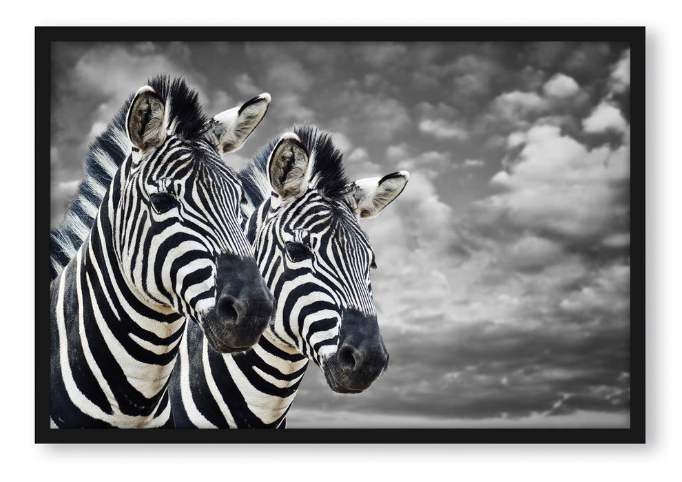 Pixxprint zwei Zebras, Poster mit Bilderrahmen