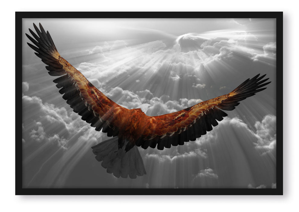 Pixxprint anmutiger Adler über den Wolken, Poster mit Bilderrahmen