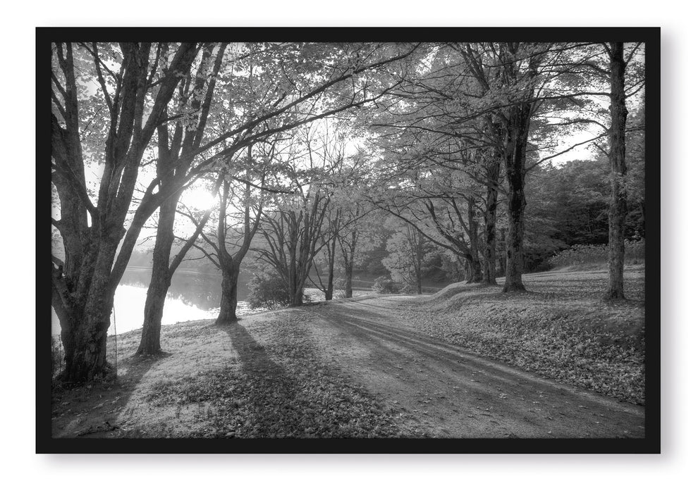 Pixxprint Herbstlicher Park am See, Poster mit Bilderrahmen