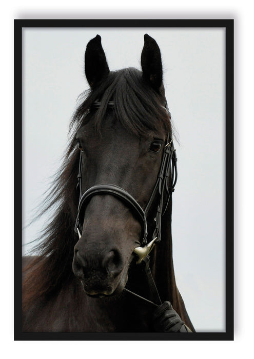 Pixxprint braunes Pferd, Poster mit Bilderrahmen