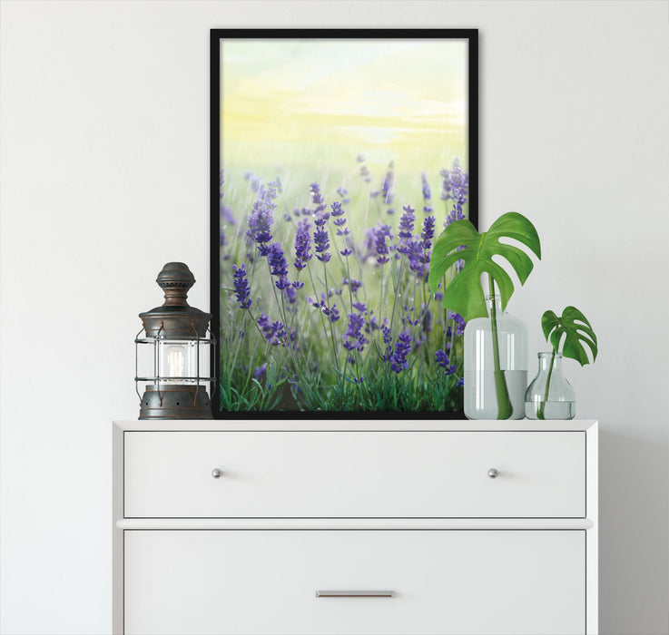 Schöner Lavendel im Regen, Poster mit Bilderrahmen