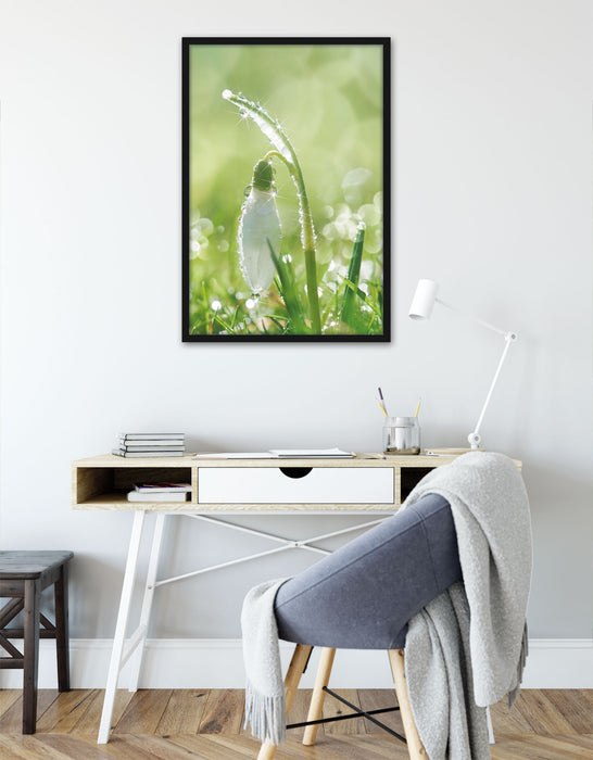 Schneeglöckchen auf Frühlingswiese, Poster mit Bilderrahmen