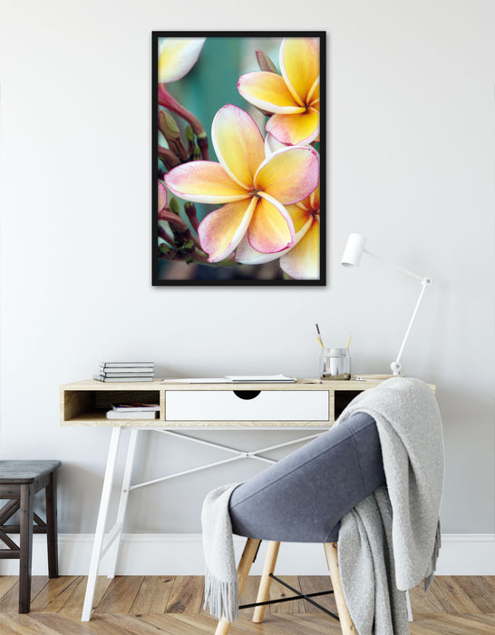 Monoi Blüten auf Hawaii, Poster mit Bilderrahmen