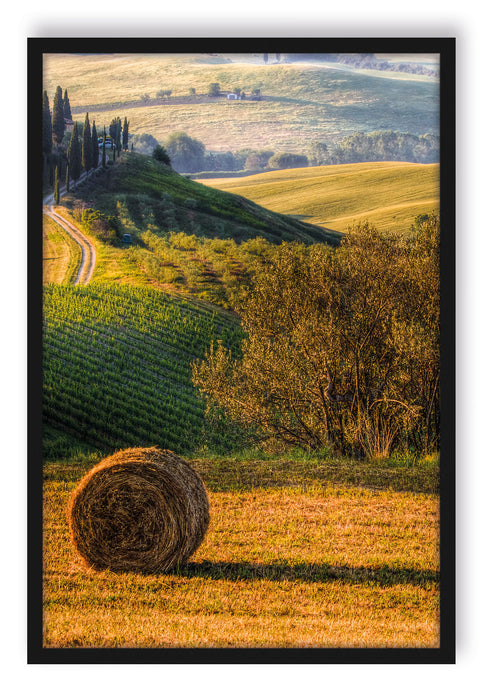 Italienische Toskana Landschaft, Poster mit Bilderrahmen
