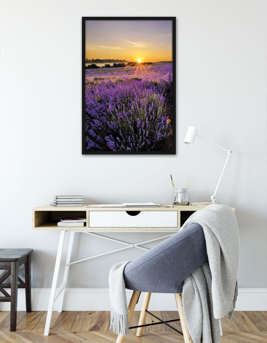Lavendelfeld in Frankreich, Poster mit Bilderrahmen