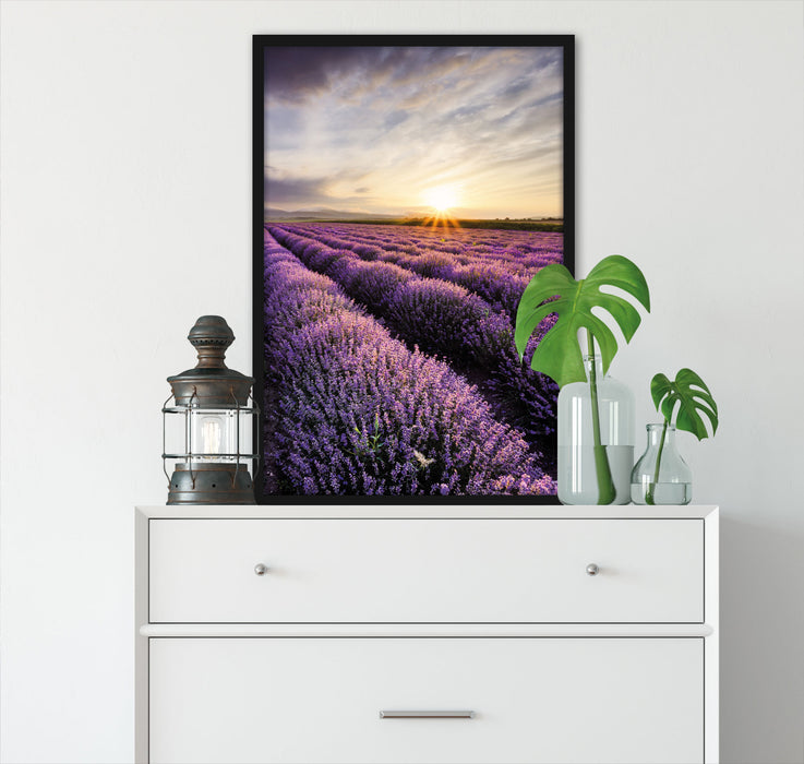 Traumhafte Lavendel Provence, Poster mit Bilderrahmen