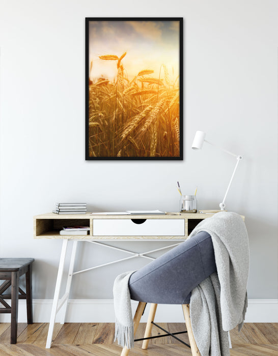 Getreide im Sonnenlicht, Poster mit Bilderrahmen