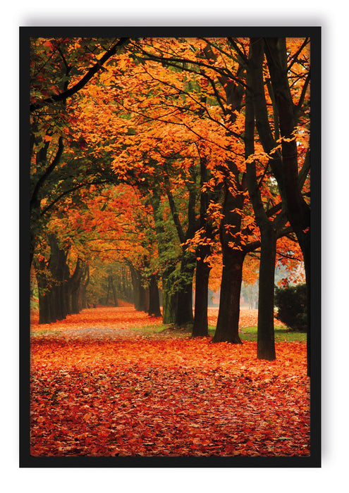 Pixxprint Baumallee im Herbst, Poster mit Bilderrahmen