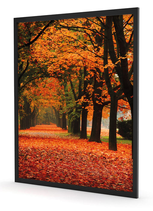 Baumallee im Herbst, Poster mit Bilderrahmen