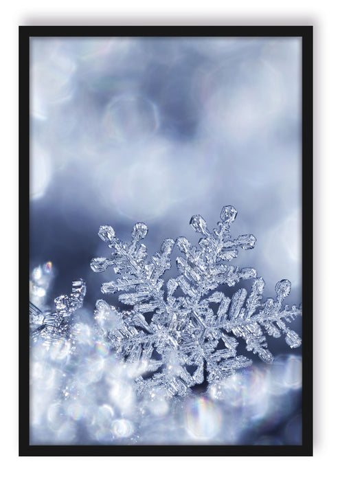 Pixxprint Wunderschöner Eiskristall, Poster mit Bilderrahmen