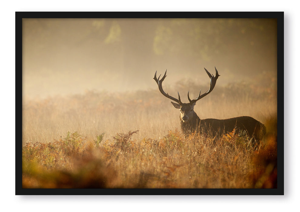 Pixxprint Rotwild Hirsch im Nebel, Poster mit Bilderrahmen