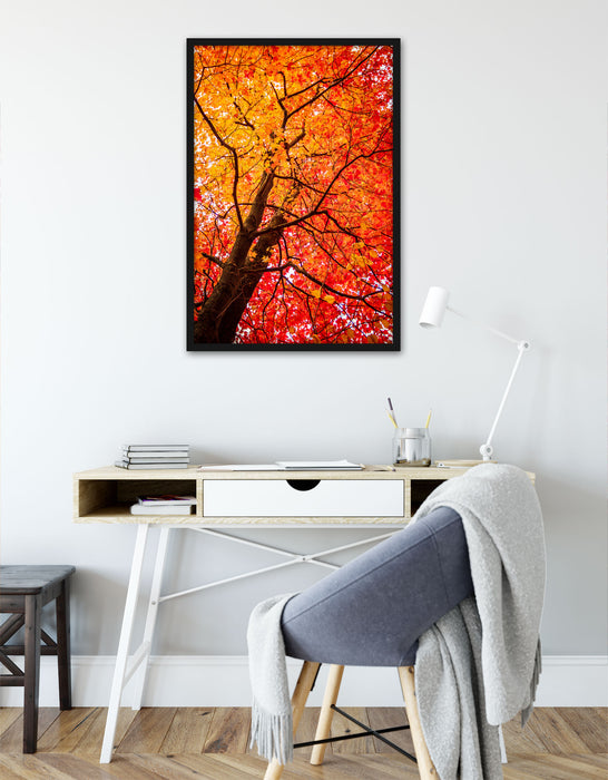 Feurige Herbstblätter, Poster mit Bilderrahmen