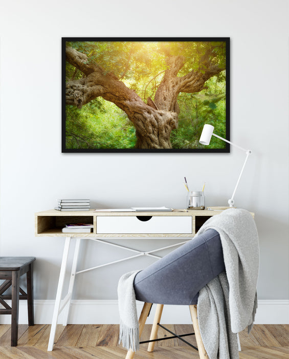 Mächtiger Baum im Wald, Poster mit Bilderrahmen