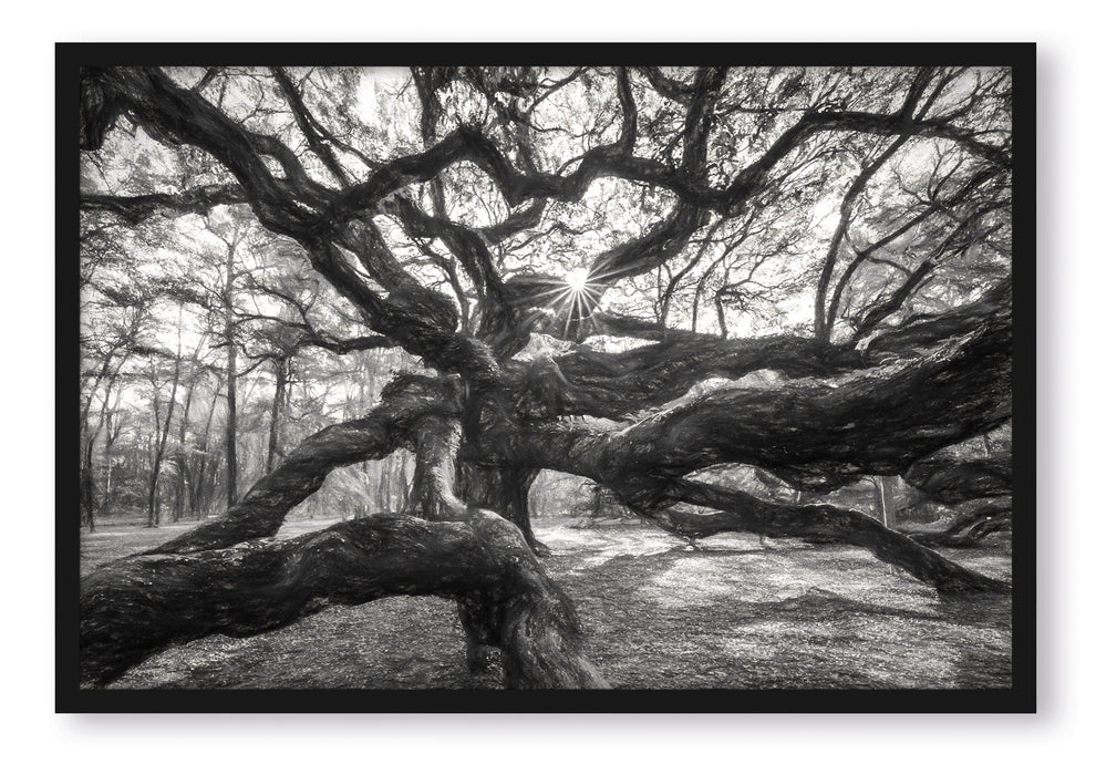 Pixxprint Baum, Poster mit Bilderrahmen