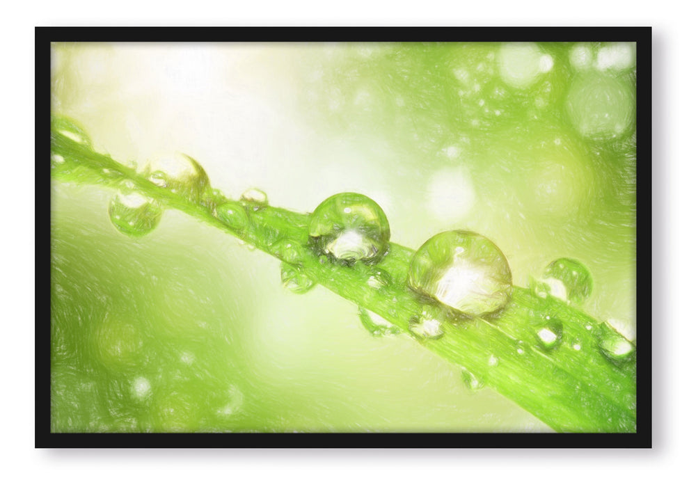 Pixxprint Wassertropfen auf Grashalm, Poster mit Bilderrahmen
