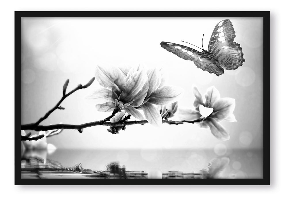 Pixxprint Schmetterling mit Magnolien-Blüte, Poster mit Bilderrahmen