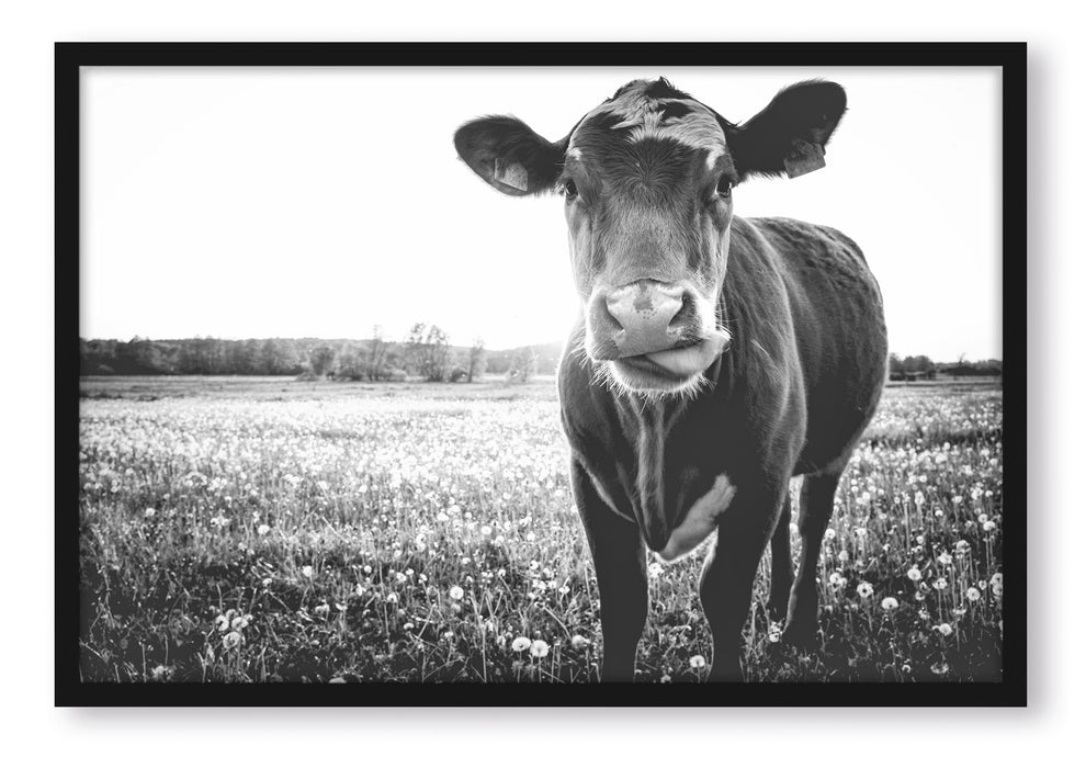 Pixxprint Kuh auf Butterblumenwiese, Poster mit Bilderrahmen