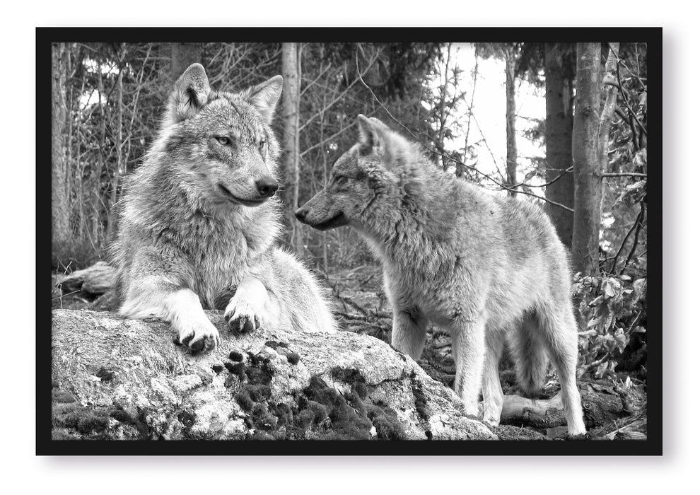 Pixxprint Wölfe im Wald Kunst B&W, Poster mit Bilderrahmen