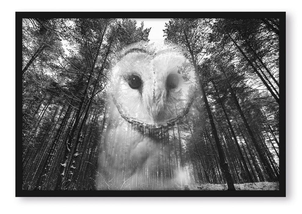 Pixxprint Portrait einer Eule, Poster mit Bilderrahmen