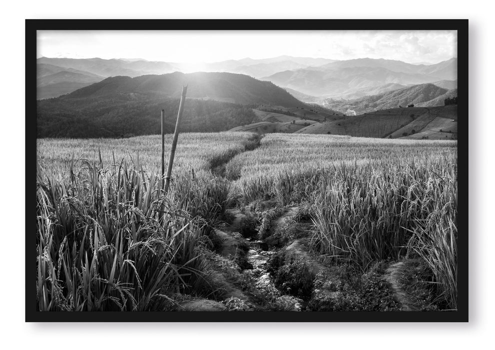 Pixxprint Reisfeld Plantage in Asien, Poster mit Bilderrahmen