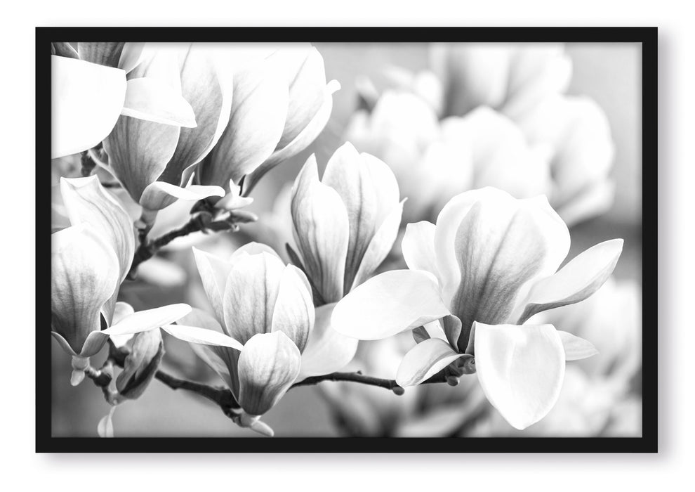 Pixxprint farbende Blüte, Poster mit Bilderrahmen