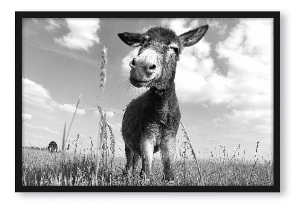 Pixxprint Esel im Feld, Poster mit Bilderrahmen