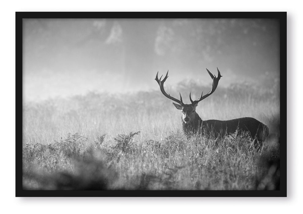 Pixxprint Rotwild Hirsch im Nebel Kunst B&W, Poster mit Bilderrahmen