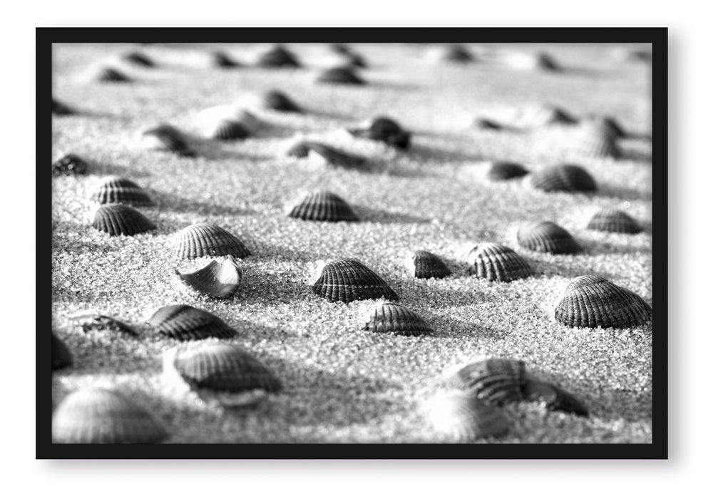 Muscheln im Sand Kunst B&W, Poster mit Bilderrahmen