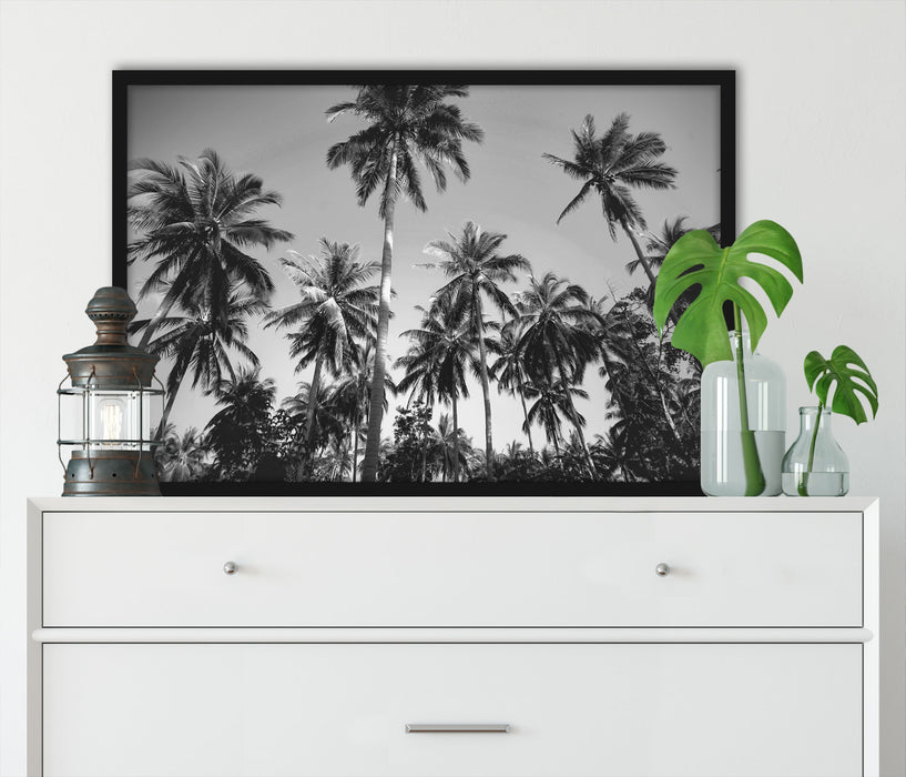 Tropische Palmen Kunst B&W, Poster mit Bilderrahmen