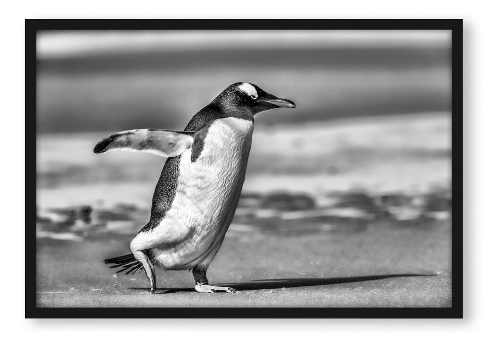 Pixxprint Pinguin am Strand, Poster mit Bilderrahmen