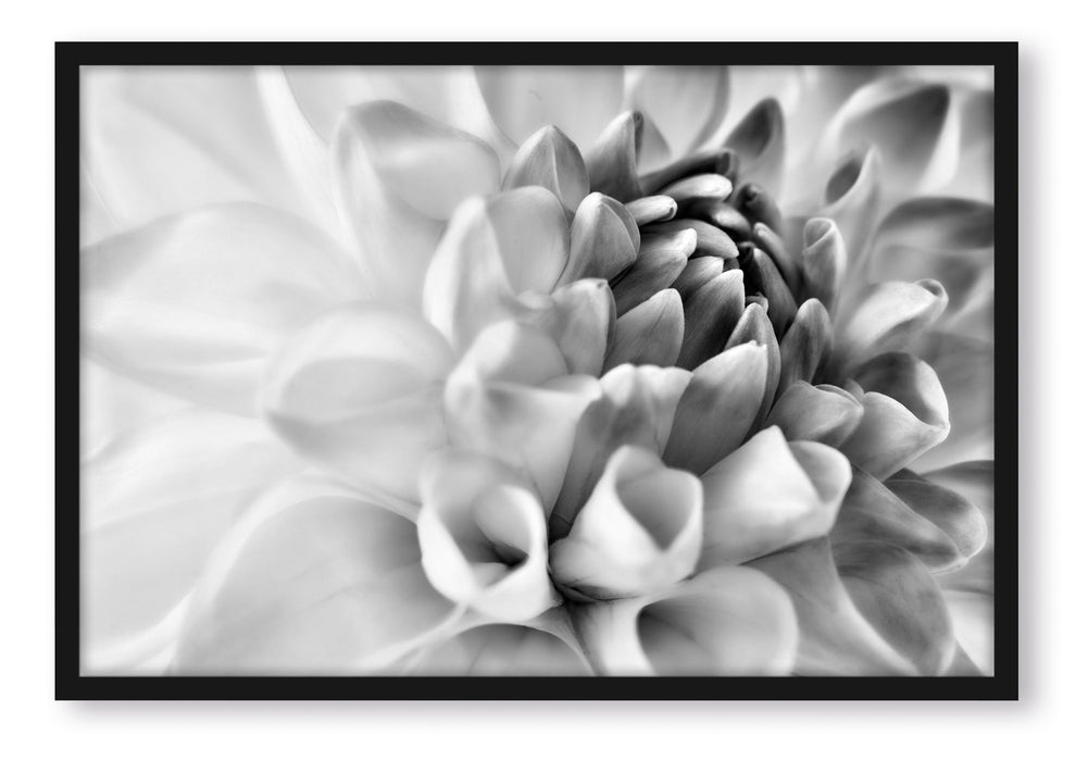 Traumhafte lila weiße Blüte, Poster mit Bilderrahmen