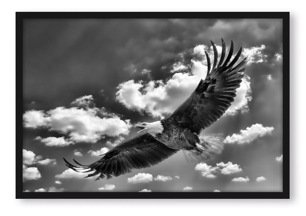 Adler fliegt über Berge, Poster mit Bilderrahmen