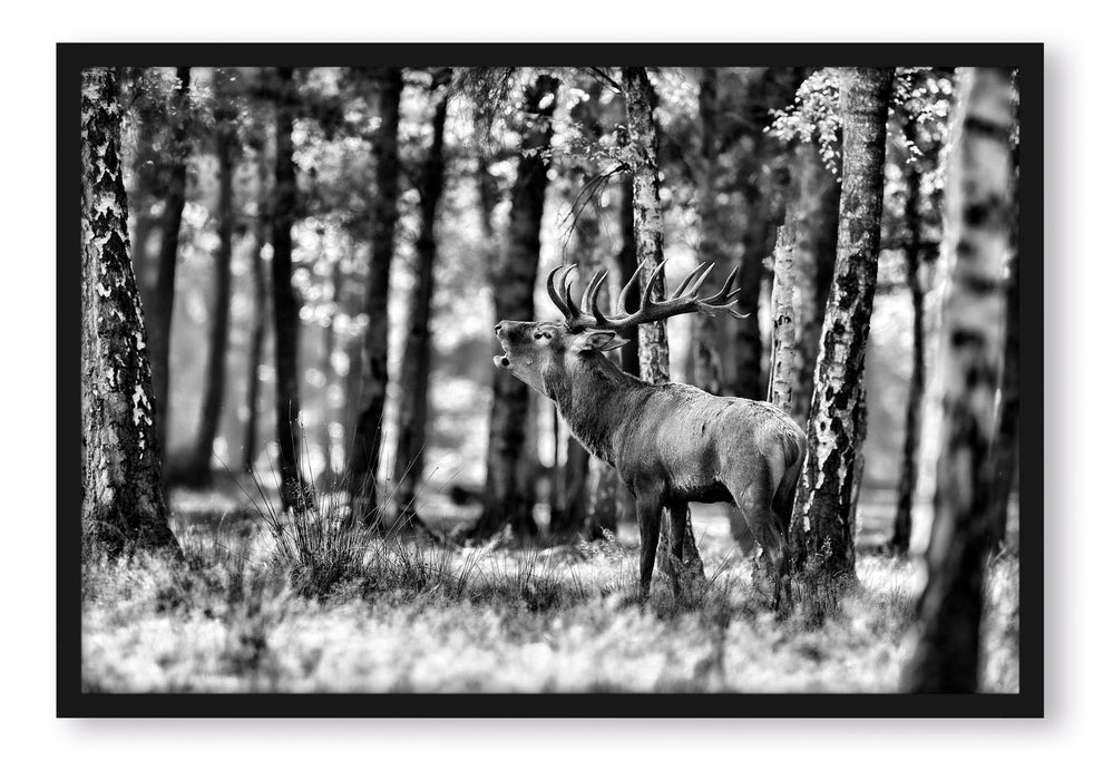 Pixxprint Hirsch im Wald, Poster mit Bilderrahmen