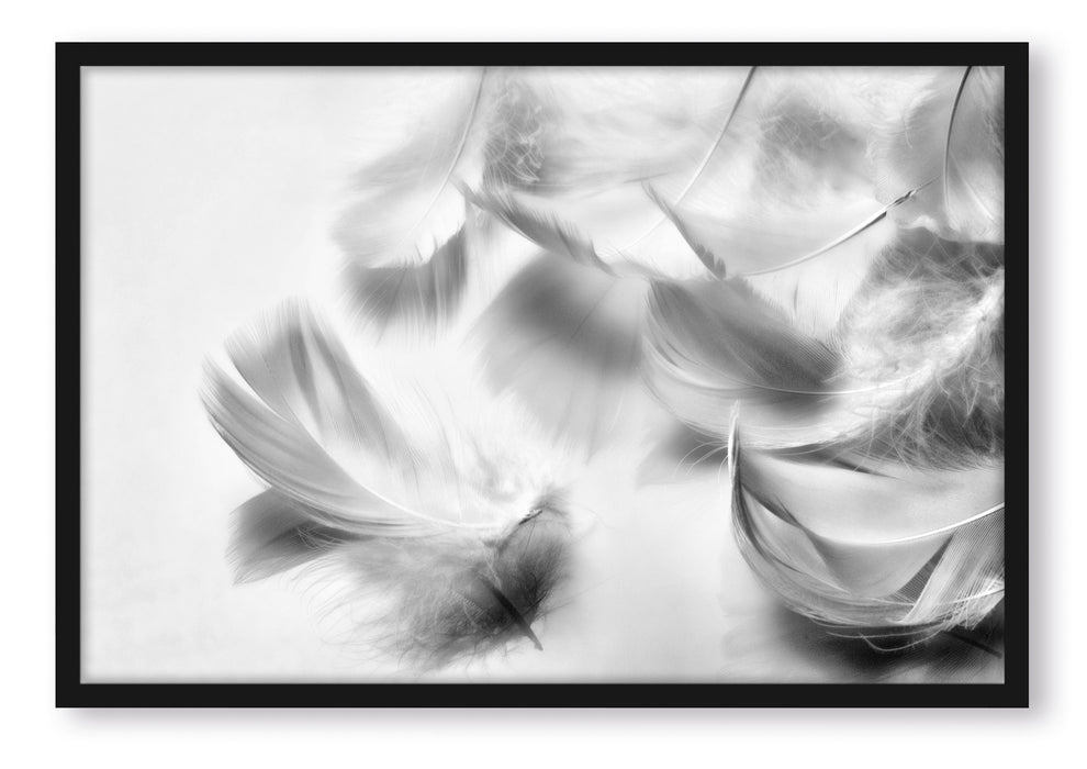 Pixxprint Weiße Feder auf schwarzem Stein, Poster mit Bilderrahmen