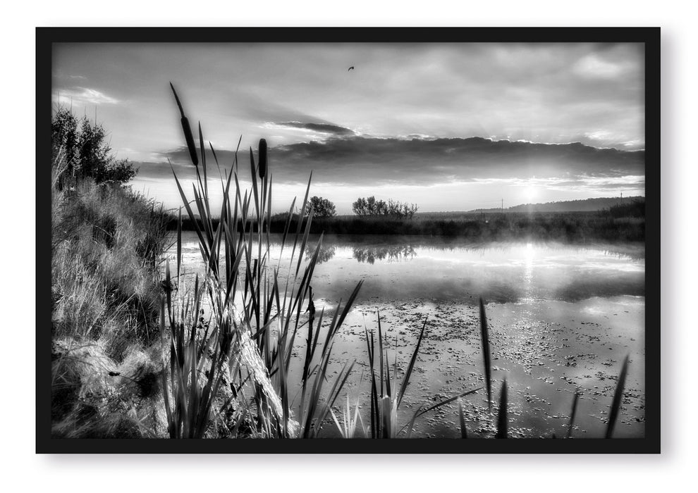 Sonniger Morgen am See, Poster mit Bilderrahmen