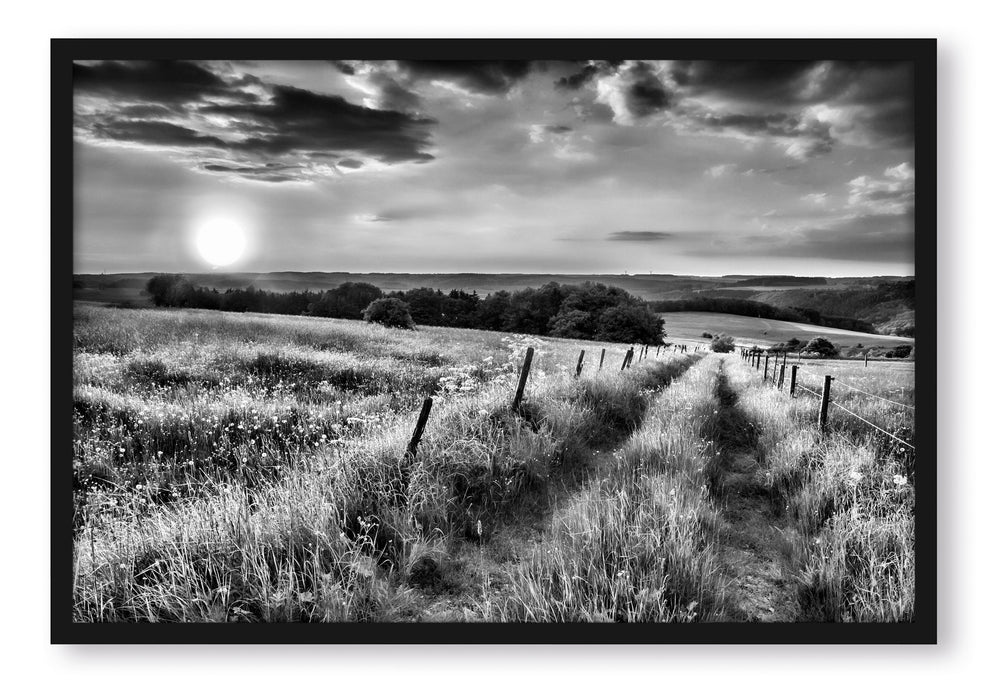 Pixxprint Bergwiese im Sonnenaufgang, Poster mit Bilderrahmen