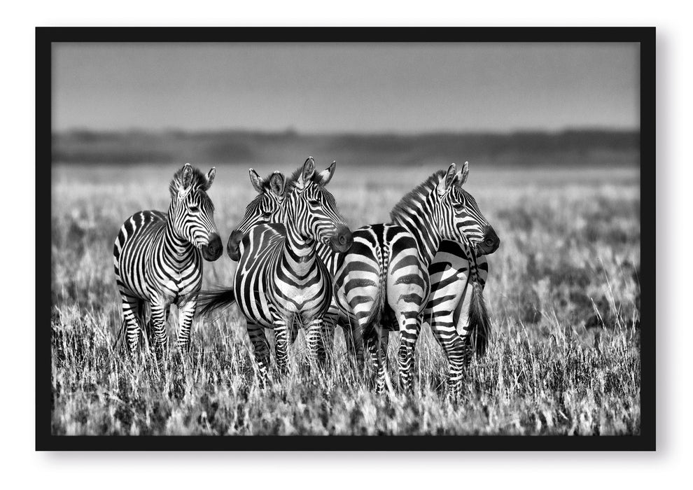 Pixxprint kleine Zebrahorde, Poster mit Bilderrahmen