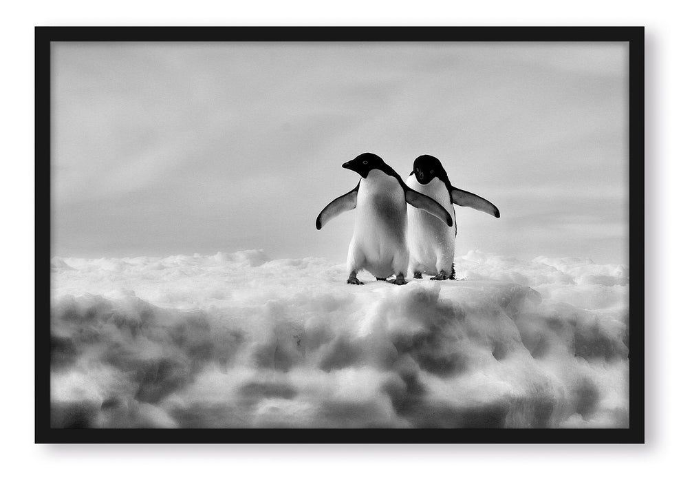Pixxprint Adeliepinguine Eisscholle, Poster mit Bilderrahmen