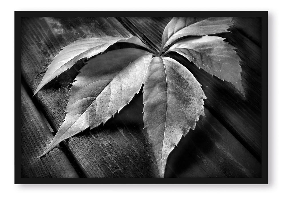 Pixxprint schönes Laubblatt auf Holz, Poster mit Bilderrahmen