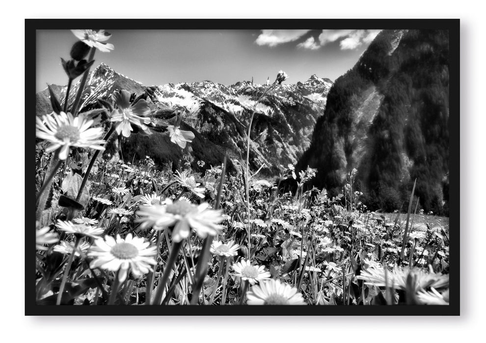 Pixxprint Wunderschöne Blumen Alpenwiese, Poster mit Bilderrahmen