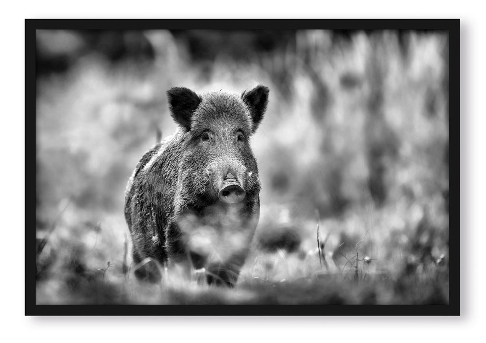 Stolzes Wildschwein im Wald, Poster mit Bilderrahmen