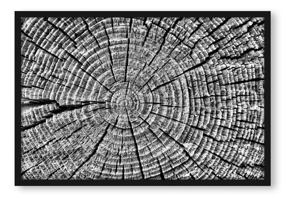 Pixxprint Baumstamm Jahresringen, Poster mit Bilderrahmen