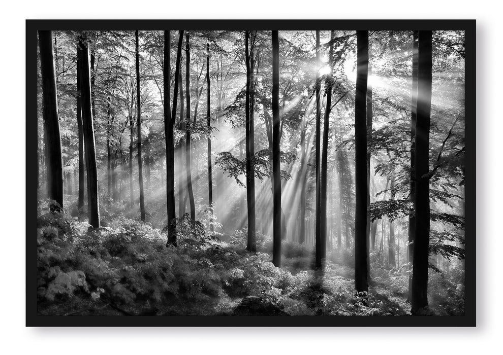 Pixxprint Sonnenstrahlen im Wald, Poster mit Bilderrahmen