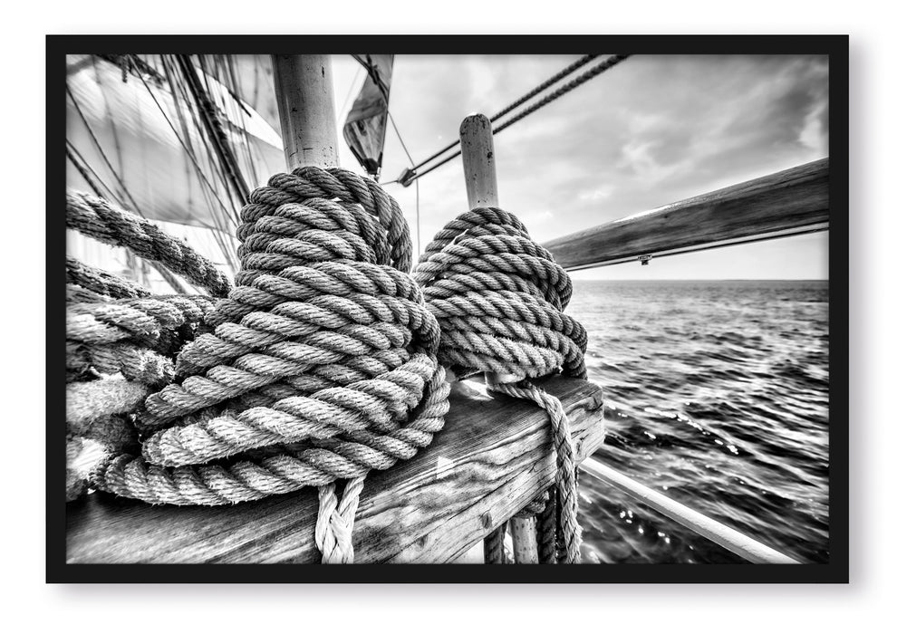 Pixxprint Tau auf einem Schiff, Poster mit Bilderrahmen