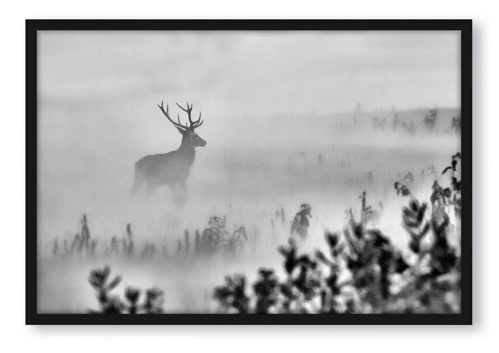 Pixxprint Hirsch im Nebel, Poster mit Bilderrahmen