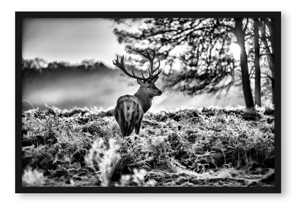 Pixxprint Hirsch im Wald, Poster mit Bilderrahmen