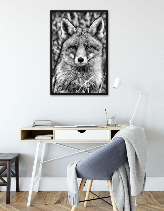 aufmerksamer Fuchs im Geäst, Poster mit Bilderrahmen