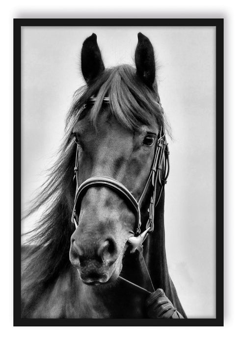 Pixxprint braunes Pferd, Poster mit Bilderrahmen