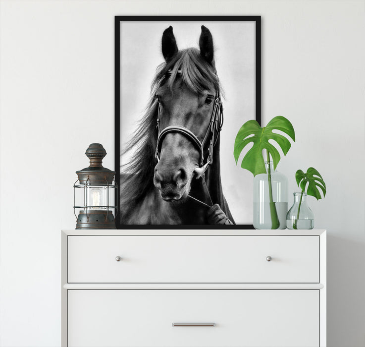 braunes Pferd, Poster mit Bilderrahmen