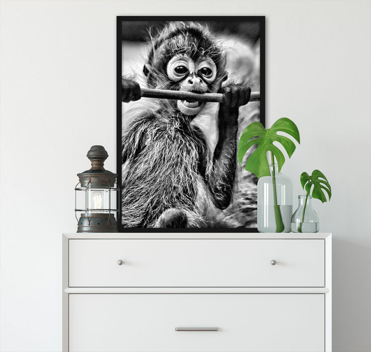 kleines Affenbaby beim Essen, Poster mit Bilderrahmen